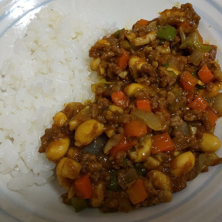 大豆入り なんちゃってキーマカレー